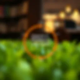 Visual representation of the product life cycle stages